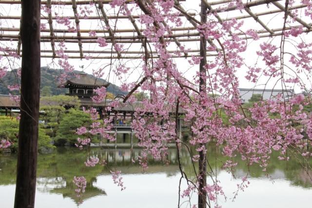Rejoice Stay Kyoto Nijo Gekko Екстериор снимка